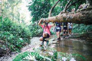 BIB: 
                            <button type="button" onclick="openModal(25463411)" class="btn btn-primary btn-sm float-right btn-popup" data-toggle="modal" data-target=".modal-high-quality">
                        <i class="fas fa-shopping-cart"></i> Add to Cart
                    </button>
                                            <button type="button" onclick="isThisMe(25463411, true)" class="btn btn-success btn-sm float-right btn-popup btn-isme hidden" data-toggle="tooltip" data-placement="bottom" title="นี่คือรูปของคุณใช่ไหม คลิกที่นี่เพื่อเอาเข้าอัลบั้ม">
                        <i class="fas fa-plus"></i> Add to album
                    </button>
                    <button type="button" onclick="isThisMe(25463411, false)" class="btn btn-warning btn-sm float-right btn-popup btn-isnotme hidden">
                        <i class="fas fa-ban"></i> Remove from album
                    </button>